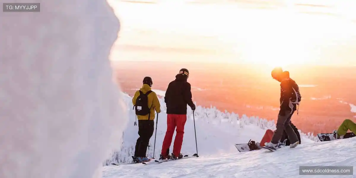 🎁 周边好物,解锁你的运动 DNA!